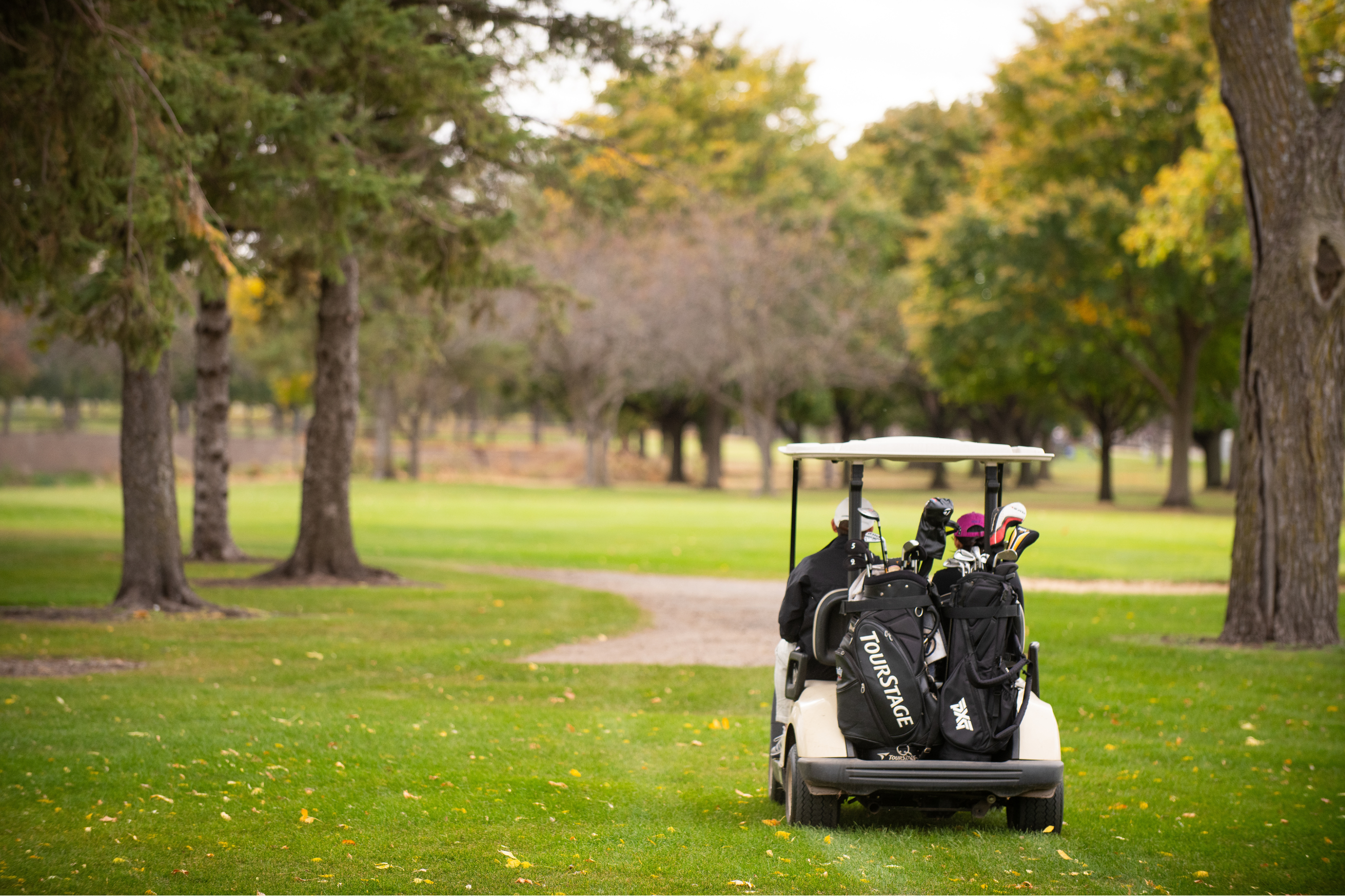 a golf cart driving away from the camera with two golfers and two golf bags