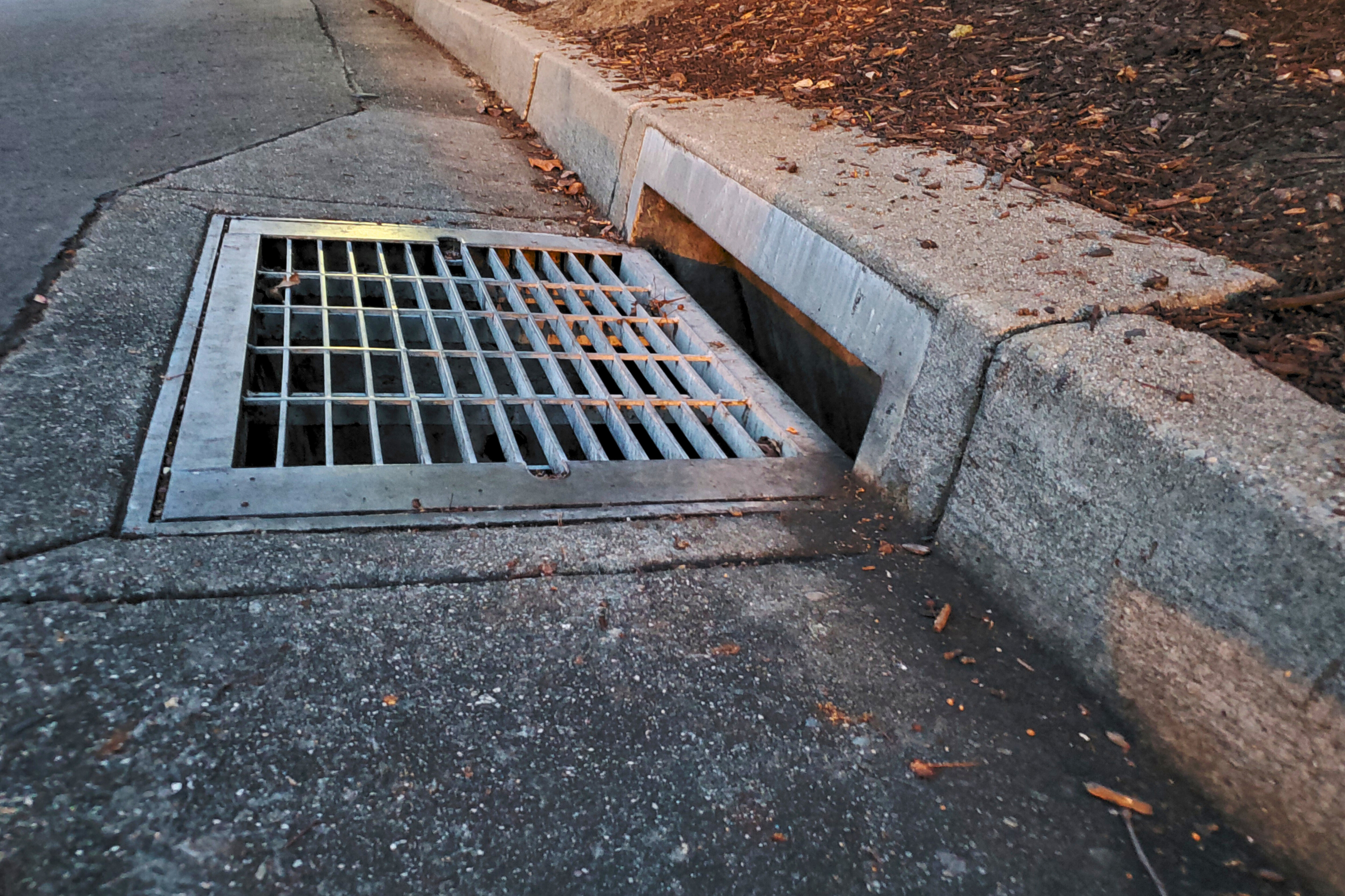 close up view of storm drain mostly cleared of leaves on a dry day