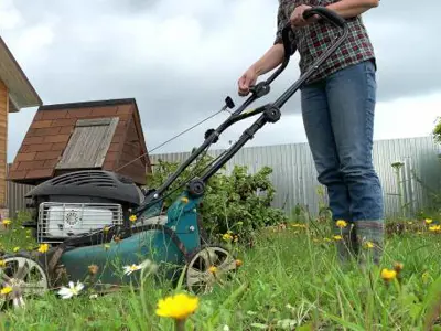 Person mowing a lawn with a push mower in a yard with tall grass and wildflowers, with houses and a cloudy sky in the background.
