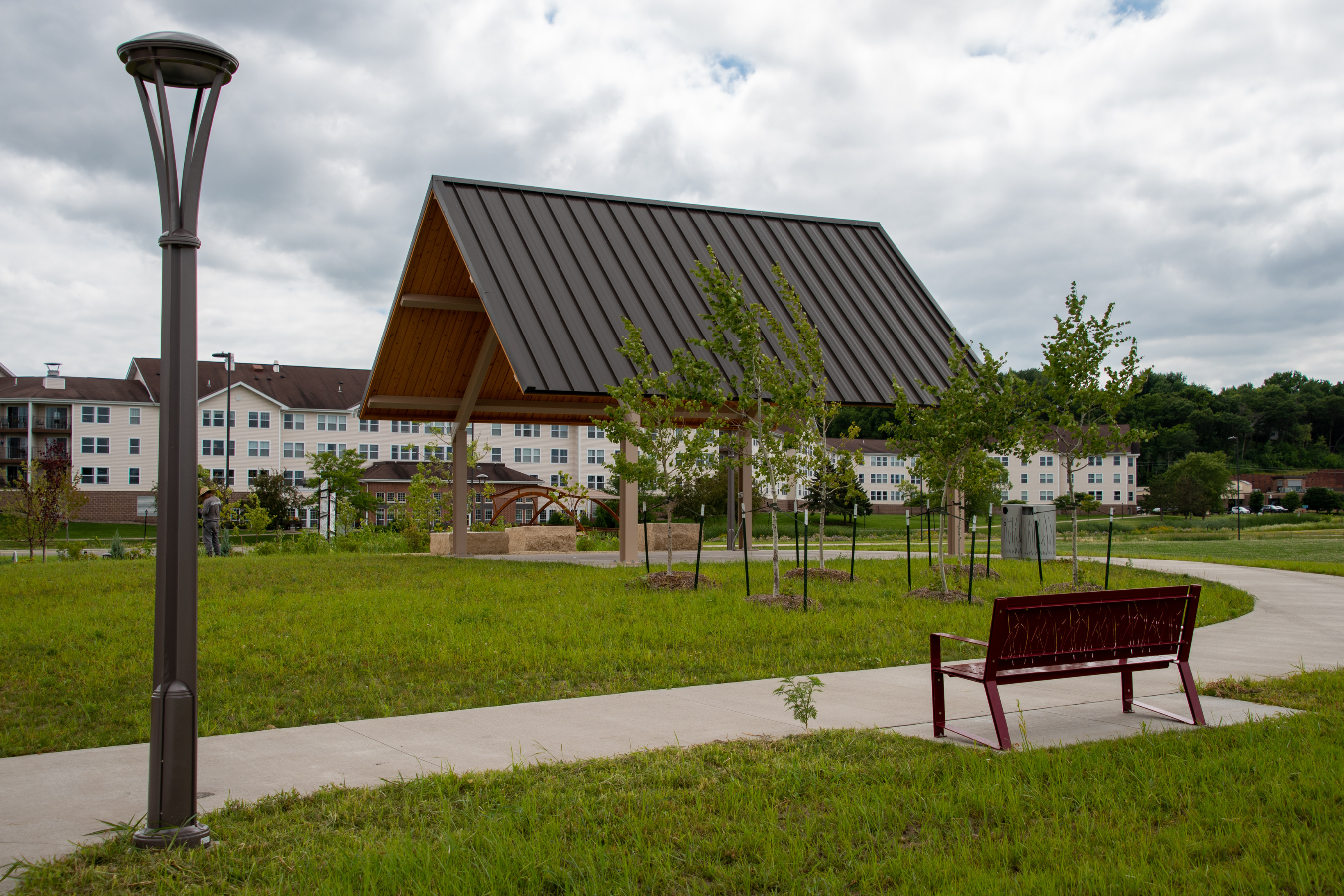 a park picnic shelter surrounded by young trees, a walking path and a park bench